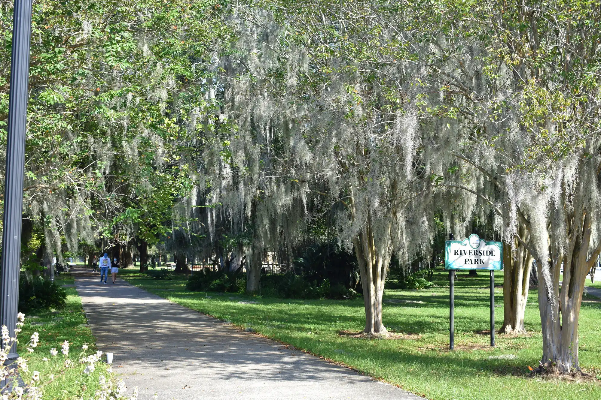Eruv of Jacksonville, Inc.